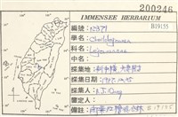登錄號:B00019155藏品圖，第2張