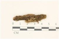 登錄號:B00019155藏品圖，第1張