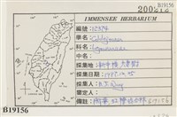登錄號:B00019156藏品圖，第2張