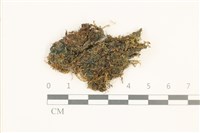 登錄號:B00019181藏品圖，第1張