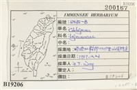 登錄號:B00019206藏品圖，第2張