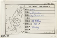 登錄號:B00019326藏品圖，第2張