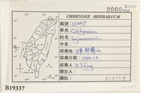 登錄號:B00019337藏品圖，第2張