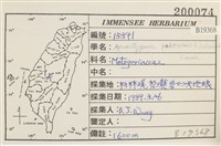 毛擬叉苔藏品圖，第2張