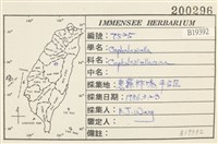 登錄號:B00019392藏品圖，第2張