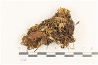 登錄號:B00019398藏品圖，第1張