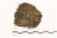 登錄號:B00019399藏品圖，第1張