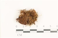 登錄號:B00019400藏品圖，第1張