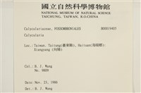 登錄號:B00019405藏品圖，第2張