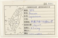 登錄號:B00019413藏品圖，第2張