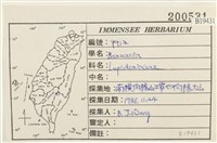 登錄號:B00019431藏品圖，第2張