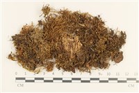 登錄號:B00019431藏品圖，第1張