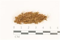 登錄號:B00019454藏品圖，第1張