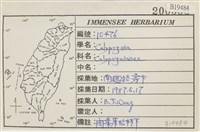 登錄號:B00019484藏品圖，第2張