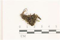 登錄號:B00019485藏品圖，第1張