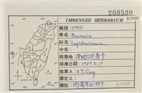 登錄號:B00019488藏品圖，第2張