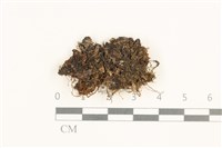 登錄號:B00019493藏品圖，第1張