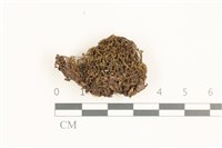 登錄號:B00019495藏品圖，第1張
