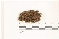 登錄號:B00019496藏品圖，第1張