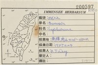 登錄號:B00019510藏品圖，第2張