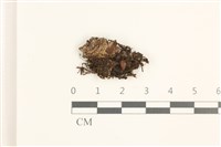 登錄號:B00019510藏品圖，第1張