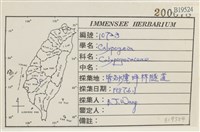 登錄號:B00019524藏品圖，第2張