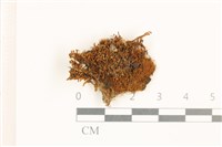 登錄號:B00019539藏品圖，第1張