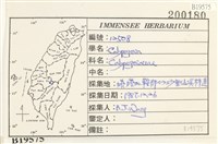 登錄號:B00019575藏品圖，第2張