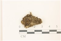登錄號:B00019584藏品圖，第1張