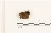 登錄號:B00019603藏品圖，第1張