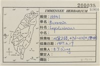 登錄號:B00019616藏品圖，第2張