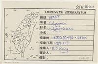 登錄號:B00019618藏品圖，第2張