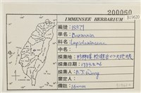 登錄號:B00019620藏品圖，第2張