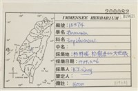 登錄號:B00019621藏品圖，第2張