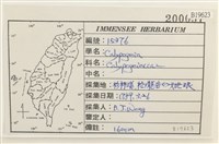 登錄號:B00019623藏品圖，第2張