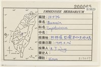 登錄號:B00019629藏品圖，第2張