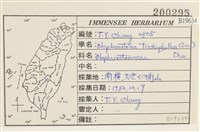 睫毛苔藏品圖，第2張