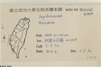 登錄號:B00019639藏品圖，第2張