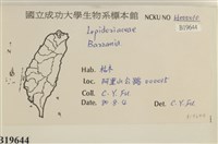 登錄號:B00019644藏品圖，第2張