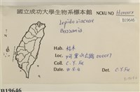 登錄號:B00019646藏品圖，第2張