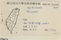 館號:B00019672藏品圖，第2張