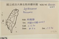 登錄號:B00019676藏品圖，第2張