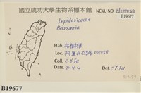 登錄號:B00019677藏品圖，第2張