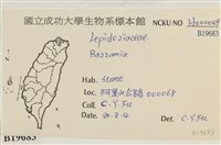 登錄號:B00019683藏品圖，第2張