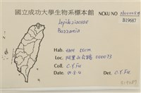 登錄號:B00019687藏品圖，第2張