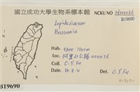 登錄號:B00019690藏品圖，第2張