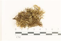 登錄號:B00019691藏品圖，第1張