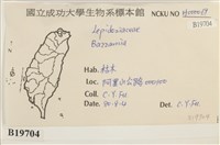 登錄號:B00019704藏品圖，第2張