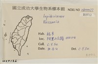 登錄號:B00019712藏品圖，第2張