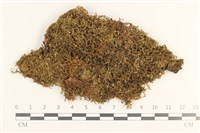 登錄號:B00019712藏品圖，第1張